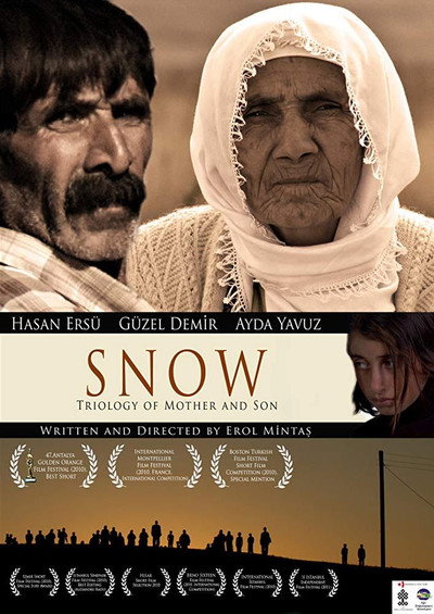 Póster de Snow