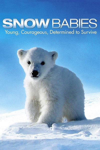 Póster de Snow Babies