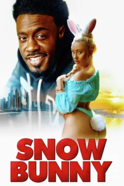 Póster de Snow Bunny Chronicles