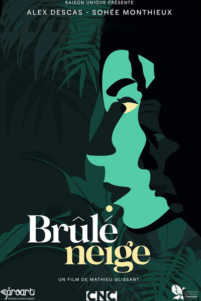Póster de Snow Burn