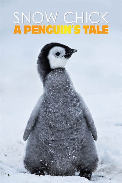 Póster de Snow Chick: A Penguin's Tale