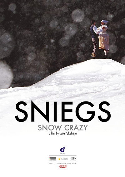 Póster de Snow Crazy