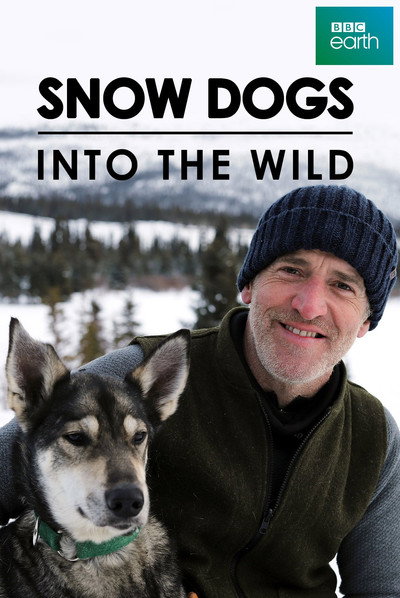Póster de Snow Dogs: Into the Wild