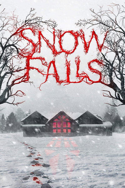 Póster de Snow Falls
