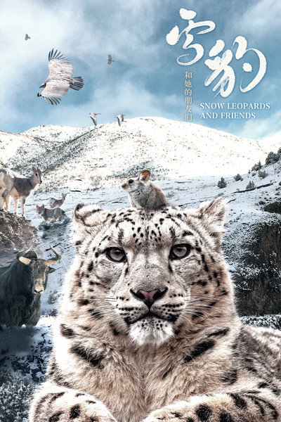 Póster de Snow Leopards and Friends