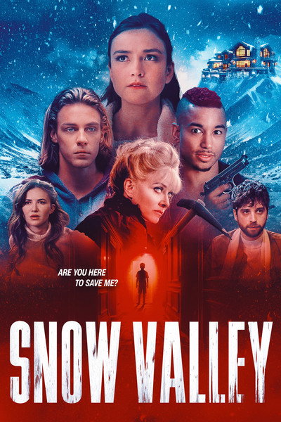 Póster de Snow Valley