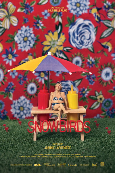 Póster de Snowbirds