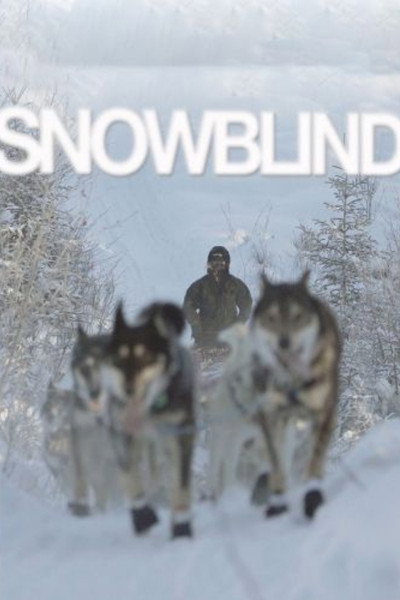 Póster de Snowblind