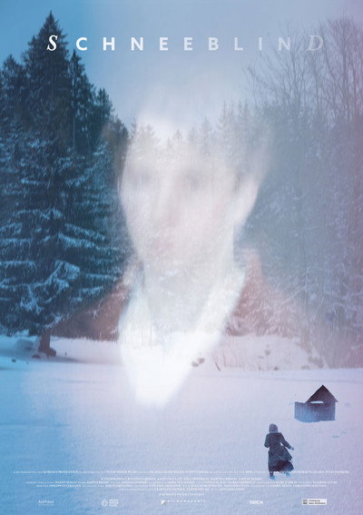 Póster de Snowblind