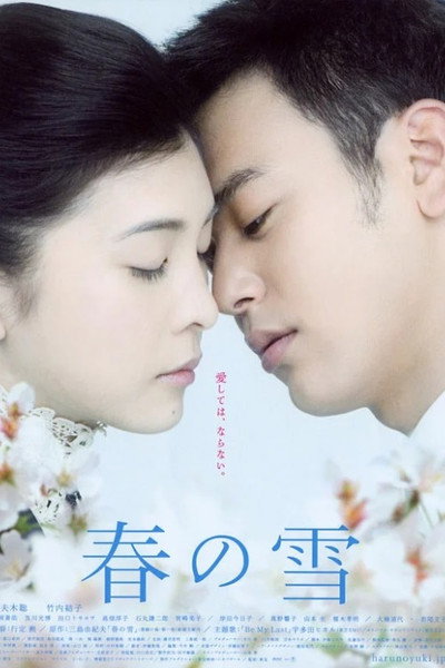 Póster de Snowy Love Fall in Spring