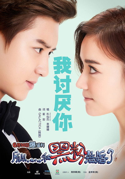 Póster de So I Married an Anti-Fan