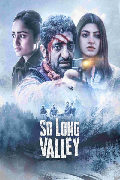 Póster de So Long Valley