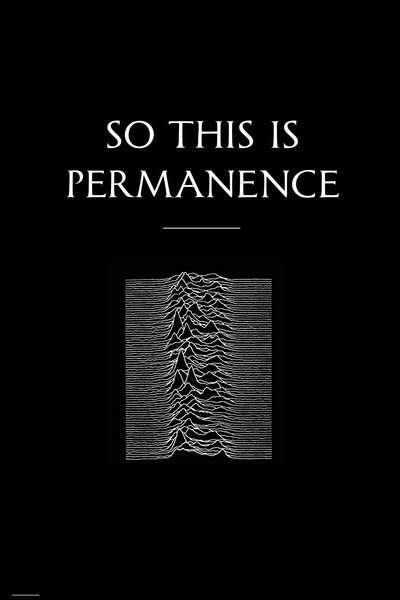Póster de So This Is Permanent