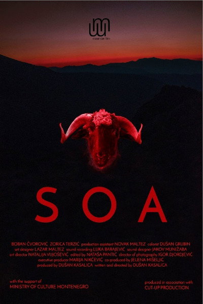 Póster de Soa