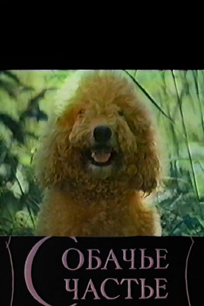 Póster de Sobachye shchastye
