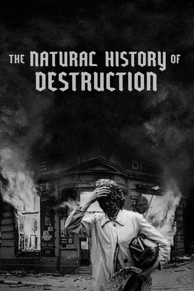Póster de Sobre la historia natural de la destrucción