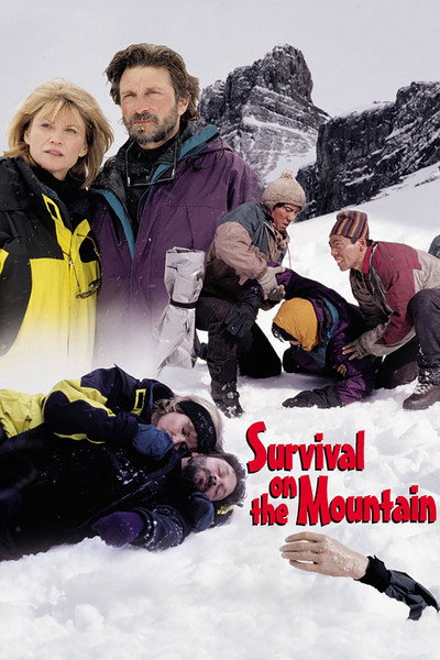 Póster de Sobrevivir en la montaña