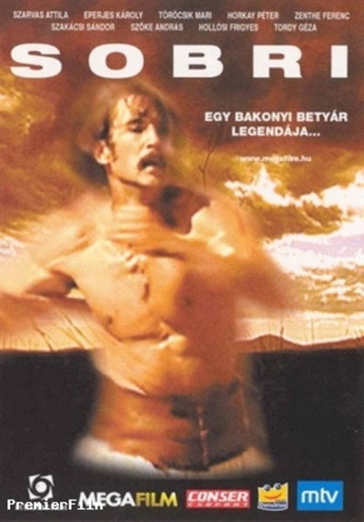 Póster de Sobri, ponyvafilm