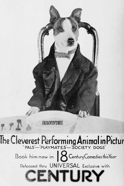 Póster de Society Dogs