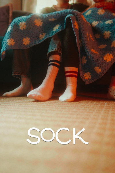 Póster de Sock