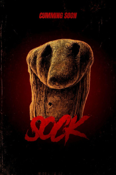 Póster de Sock