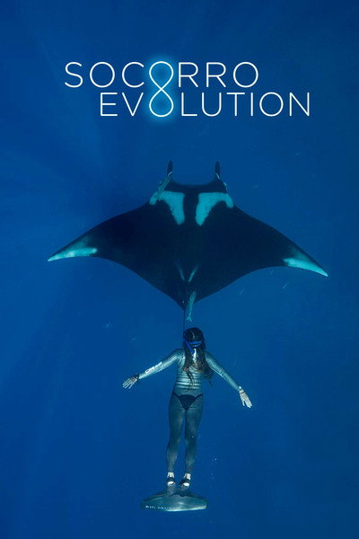 Póster de Socorro Evolution