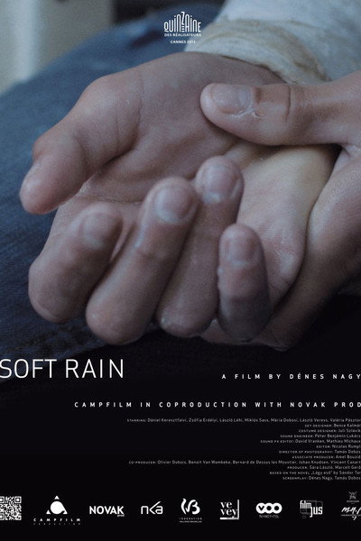 Póster de Soft Rain