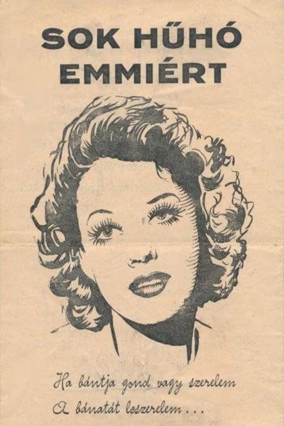 Póster de Sok hühó Emmiért