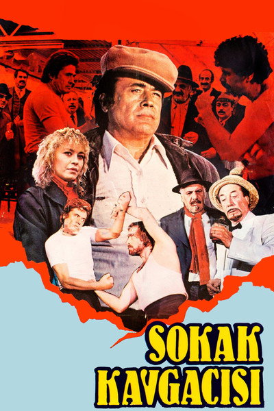 Póster de Sokak Kavgacisi