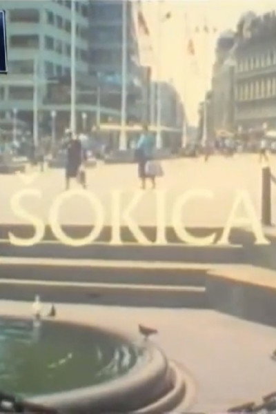 Póster de Sokica