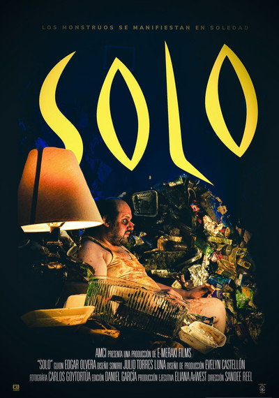 Póster de Solo