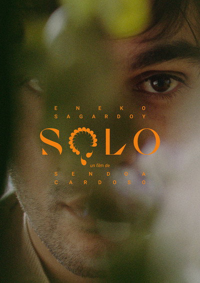 Póster de Solo