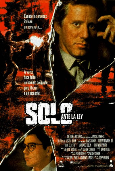 Póster de Solo ante la ley
