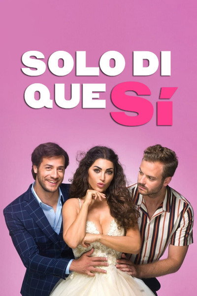 Póster de Sólo di que sí