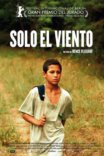 Póster de Solo el viento