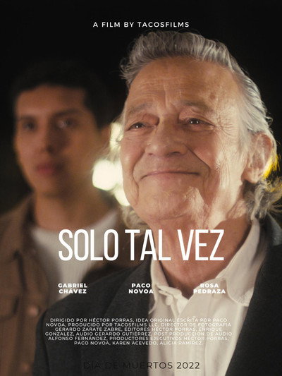 Póster de Solo Tal Vez