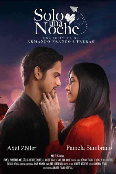 Póster de Solo una noche