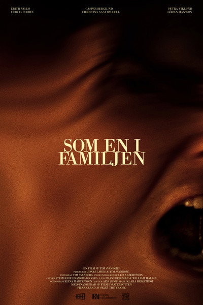 Póster de Som en i familjen
