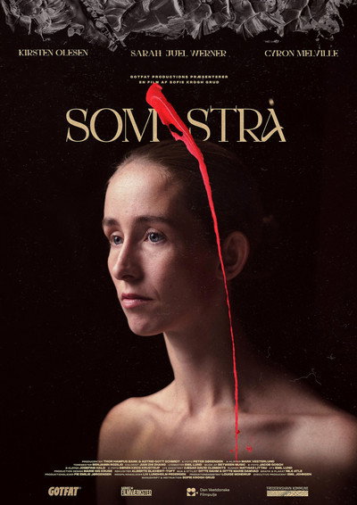 Póster de Som Strå
