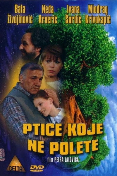 Póster de Some Birds Can't Fly