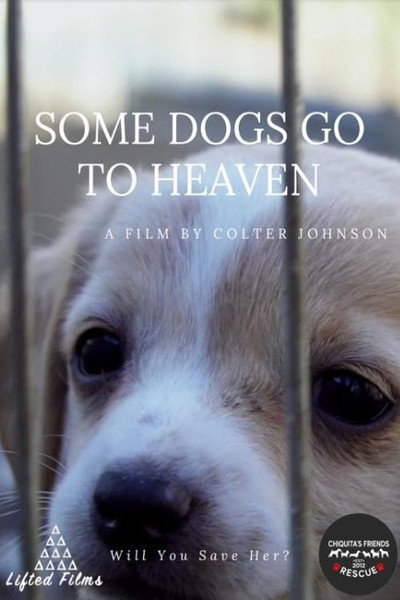 Póster de Some Dogs Go to Heaven
