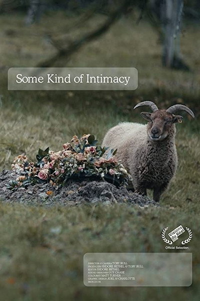 Póster de Some Kind of Intimacy