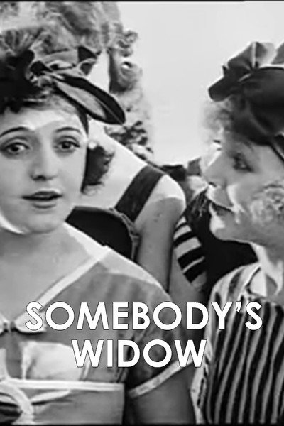 Póster de Somebody's Widow