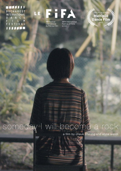 Póster de Someday I Will Become a Rock