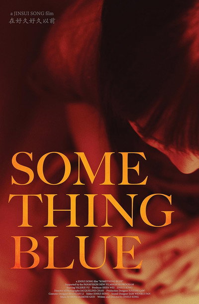 Póster de Something Blue