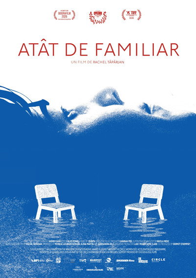 Póster de Something Familiar