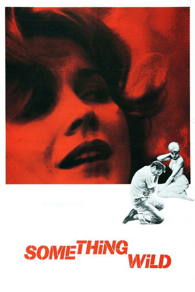 Póster de Something Wild