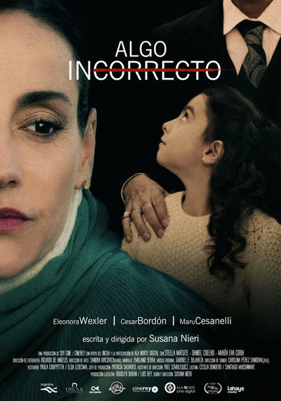 Póster de Something Wrong