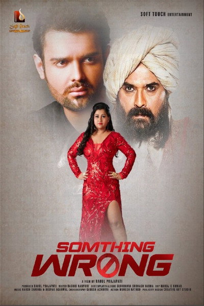 Póster de Something Wrong