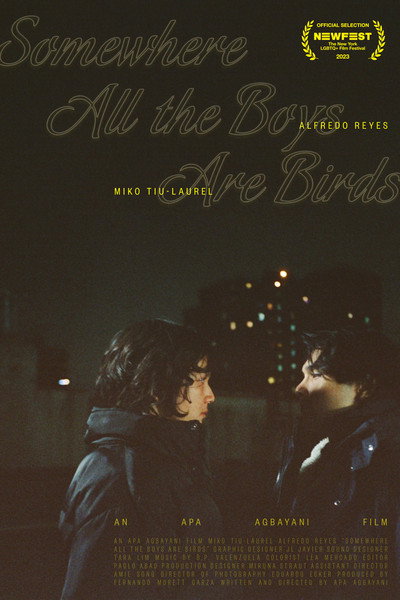 Póster de Somewhere all the boys are birds